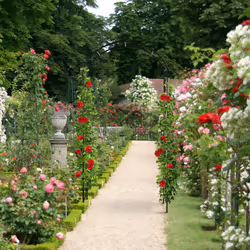 Relaxdays Arche à rosiers en métal, portail de jardin, HxLxP : 224 x 110 x 41 cm, rétro, tuteur plantes grimpantes, noir