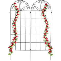 Relaxdays Tuteur à tomates en lot de 2, métal (fer), pour plantes grimpantes, planter, H x L : 153 x 51 cm, noir