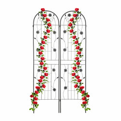 Grilles tuteur plantes, lot de 2, HxL 200x50 cm, treillis autonome pour fleurs, à planter, en métal, noir - Relaxdays