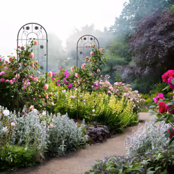 Grilles tuteur plantes, lot de 2, HxL 200x50 cm, treillis autonome pour fleurs, à planter, en métal, noir - Relaxdays