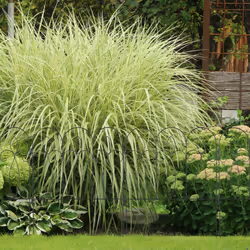 Clôture jardin en métal, 6 éléments avec ornements, h x l: 81 x 63 cm, bordures à planter, noir - Relaxdays