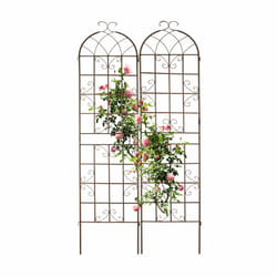 Tuteur à tomates, en lot de 2, pour plantes grimpantes, à planter, h x l x p : env. 220x52x2 cm, marron - Relaxdays