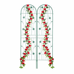Tuteur à plantes, lot de 2, à poser, pour plantes grimpantes, utiles, ornementales, HxL : 200 x 50 cm, vert - Relaxdays