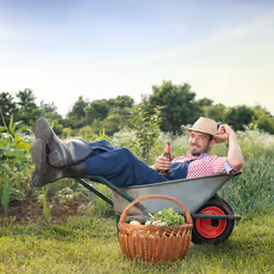Relaxdays Roue de brouette 3.50-8, pneumatique, jante en acier, charge maximale : 100 kg, avec valve, noir/rouge