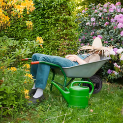 Relaxdays - Roue de brouette, 3.50-6, pneumatique, 2PR, charge maximale : 120 kg, avec valve, jante en acier, noire