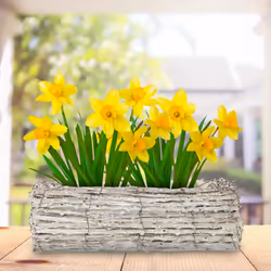Relaxdays - Pots de fleurs, lot 2, rotin, cache-pots avec plastique, HxLxP: 8 x 27 x 17 cm, bacs intérieur, blanc-nature