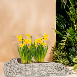 Relaxdays Pots de fleurs, lot 2, rotin, cache-pots avec plastique, HxLxP: 10 x 55 x 25 cm, bacs intérieur, blanc-nature