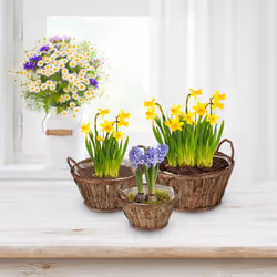 Relaxdays - 3 pots de fleurs en bois, chacun ayant une taille différente, avec écorces, film pour chaque, nature