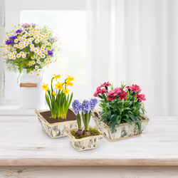 Relaxdays - Pot de fleurs, lot 3, bois, bacs avec poignées, film, 3 tailles, pour intérieur & extérieur, blanc-nature