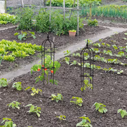 Trellis obélisque, lot de 2, 70 m de hauteur,pour plantes grimpantes, en métal, stable, tour pour rosier, noir - Relaxdays
