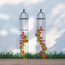 Trellis obélisque, lot de 2, 160 m de hauteur, plantes grimpantes, en métal, stable, tour pour rosier, noir - Relaxdays