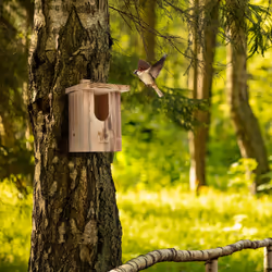 Relaxdays - Nichoir d'extérieur pour oiseaux semi-cavernicoles, bois naturel, à suspendre, trou envol HL 95x55 mm, nature