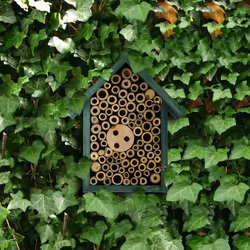 Relaxdays - Maison à insectes, hôtel à insectes, à suspendre, non-traité, coléoptères, HxLxP : 20x17x8,5 cm, bois, vert