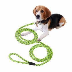 Relaxdays Laisse pour chien réfléchissante, longueur de 2,5 m, corde pour petit et moyen chien, jusqu'à 17 kg, vert/gris