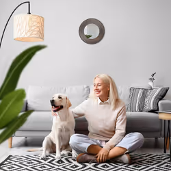 Relaxdays - Lot de 3 miroirs, rond, large bord, diamètre 25 cm, intérieur, décoration, cadre en plastique, doré/noir
