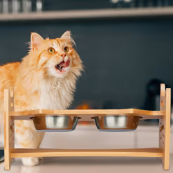 Relaxdays - Gamelles et support en bambou, pour chats & petits chiens, HxLxP: 18x36x21 cm, 2 contenants, nature - argenté
