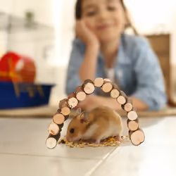 Relaxdays - Pont en bois pour rongeurs, lot de 3, flexible, accessoire pour cage, hamster & souris, tunnel, refuge, nature