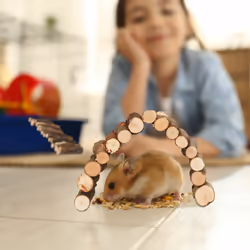Relaxdays - Pont en bois pour rongeurs, lot 2, flexible, accessoire pour cage, hamster & souris, 2 tailles, refuge, nature