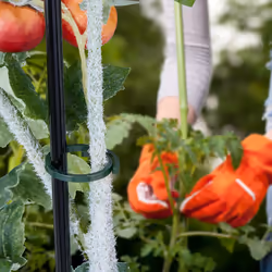 Bagues de tuteurage, 300 pièces, plastique, fixation pour plantes, diamètre de 2,5 cm, tomates, vert - Relaxdays