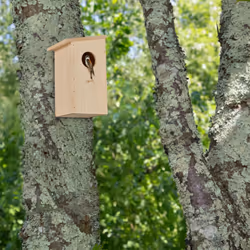 Relaxdays - Nichoir d'extérieur pour oiseaux (mésange charbonnière, etc.), pliable, bois naturel, à suspendre, nature