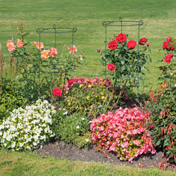Relaxdays Tuteur à tomates rond en lot de 10, support jardin pour plantes, circulaire, H x D : env. 76 x 26 cm, vert
