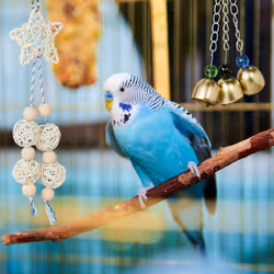 Relaxdays Lot de 7 jouets pour oiseaux, accessoires de cage, perruches, canaris, calopsittes, nichoir, perchoir, nature