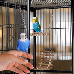 Lot de 8 jouets pour oiseaux, accessoires de cage, pour perruches, canaris, plateforme, ponts, bois, nature - Relaxdays