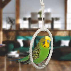 Balançoire pour oiseaux, lot de 2, anneau, 15 cm, jouet perruche, canari, mousquetons, herbiers marins, nature - Relaxdays