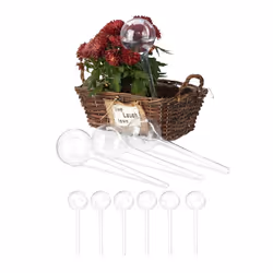 Relaxdays Bulle d’arrosage pour vos plantes et fleurs lot de 10 plastique 250 ml H x D : 28 x 8 cm transparent