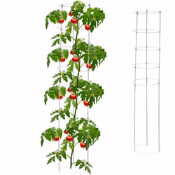 Vous cherchez un moyen d’offrir le soutien nécessaire à la croissance de vos plantes utiles et ornementales ? Alors ce tuteur ...