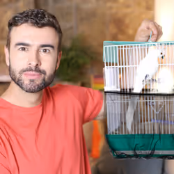 Housse pour cage à oiseaux, lot de 3, filet de protection, plumes, poussière, circonférence jusqu'à 2 m, noir - Relaxdays