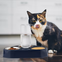 Relaxdays - Support avec 2 gamelles et distributeur d'eau, pour chats et petits chiens, bouteille 120 ml, bleu/argenté