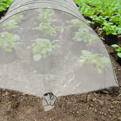 Serre, 7 m de long, en bâche en pvc, 10 arceaux, tunnel de culture, plantes, transparent - Relaxdays