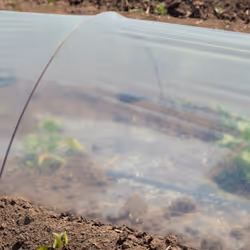 Serre, 7 m de long, en bâche en pvc, 10 arceaux, tunnel de culture, plantes, transparent - Relaxdays