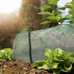 Serre, 5 m de long, en polyéthylène avec fermeture éclair, 8 arceaux, tunnel de culture, plantes, vert - Relaxdays
