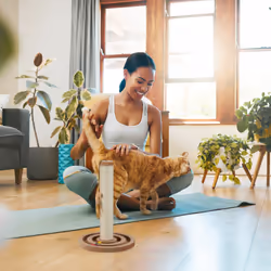 Relaxdays - Griffoir pour chat, HxD : 45x30 cm, tronc à gratter interactif, colonne en sisal avec jouet, intérieur, marron