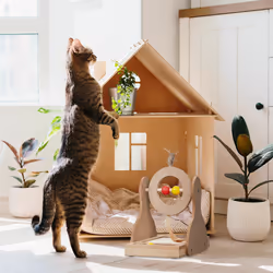 Relaxdays - Jouet pour chat, en mdf, sisal, plumes, roue tournante, boules, h x l x p : 30 x 17 x 30 cm, nature