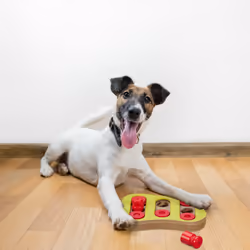 Jouet d'intelligence pour votre chien, accessoire pratique, friandises à cacher, en mdf, multicolore - Relaxdays