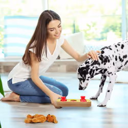 Jouet d'intelligence pour votre chien, accessoire pratique, friandises à cacher, en mdf, multicolore - Relaxdays