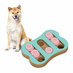 Jouet d'intelligence pour votre chien, en forme de friandise, nourriture à cacher, turquoise et rose - Relaxdays