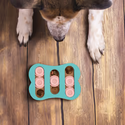 Jouet d'intelligence pour votre chien, en forme de friandise, nourriture à cacher, turquoise et rose - Relaxdays