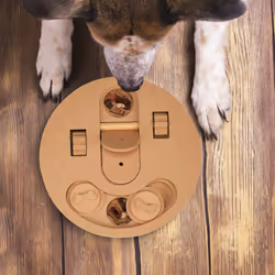 Jouet d'intelligence pour votre chien, accessoire dans lequel cacher des friandises, en mdf, nature - Relaxdays