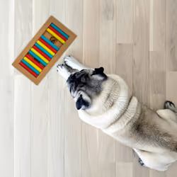 Jouet d'intelligence pour votre chien, accessoire pratique, friandises à cacher, en mdf, multicolore - Relaxdays