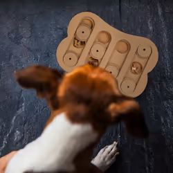 Jouet d'intelligence pour votre chien, accessoire pratique, friandises à cacher, en mdf, nature - Relaxdays