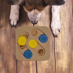 Jouet d'intelligence pour votre chien, accessoire pratique, friandises à cacher, en mdf, multicolore - Relaxdays