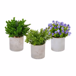 Relaxdays Lot de 3 plantes artificielles diverses fausses fleurs décoratives en pot set réaliste vert - violet - gris