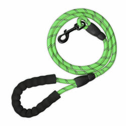 Relaxdays Laisse pour petits & gros chiens pesant jusqu’à 50 kg, réfléchissante, boucle rembourrée, nylon, 150 cm, verte