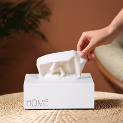Distributeur de mouchoirs, boîte à lingettes, support rectangulaire, HxLxP : 9x25x15 cm, «Home», blanc - Relaxdays