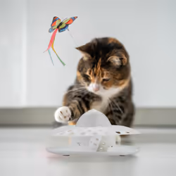 Relaxdays - Jouet pour chat, papillon rotatif à 360°, circuit avec balle, interactif, h x d : 33,5 x 22 cm, blanc