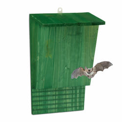 Relaxdays - Abri à chauves-souris, large refuge pour chauvesouris, HxLxP : 37 x 22 x 12,5 cm, nichoir, bois, vert